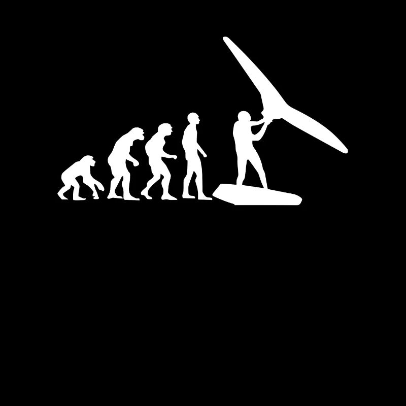 Wing Surf Evolution Wing Foil Geschenk Wingfoiler
