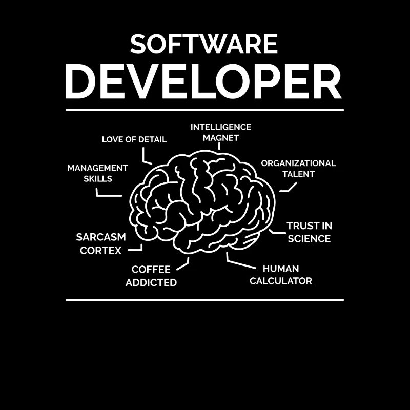Software Entwickler