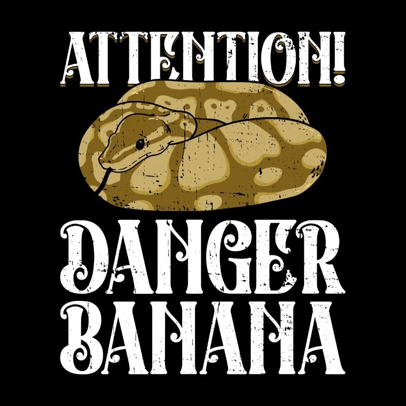 Königspython Banane Königspython Schlange