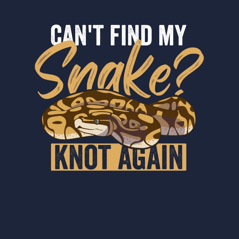 Königspython Ball Python