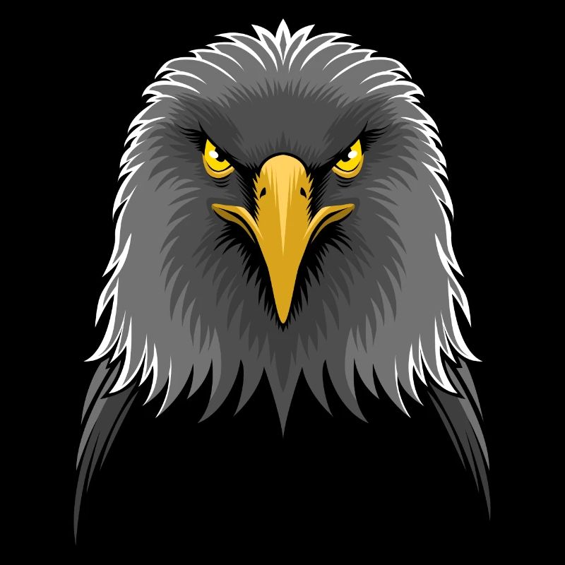 White-headed eagle