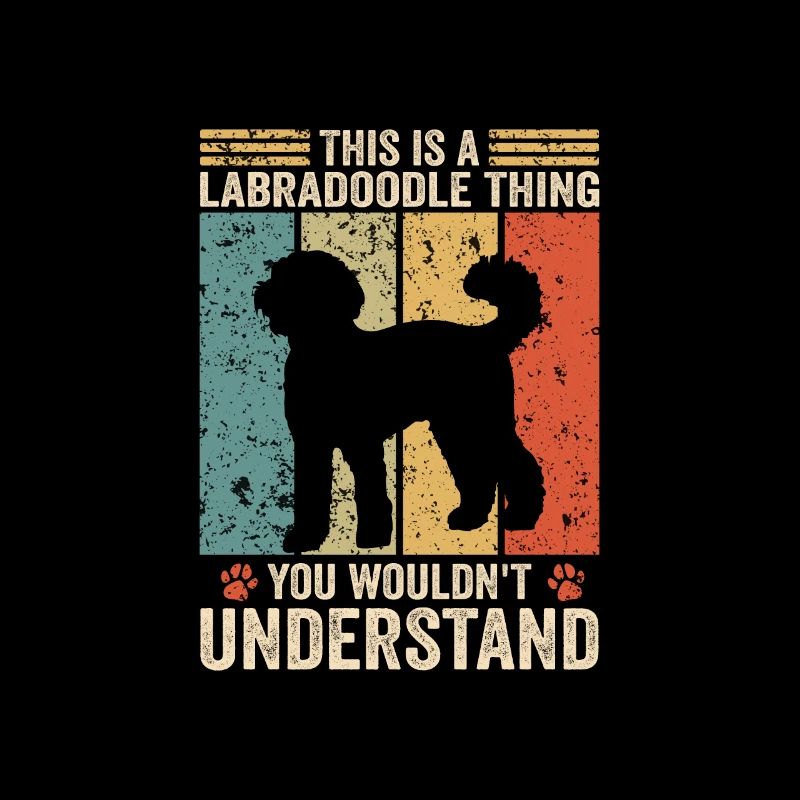 This is a Labradoodle thing