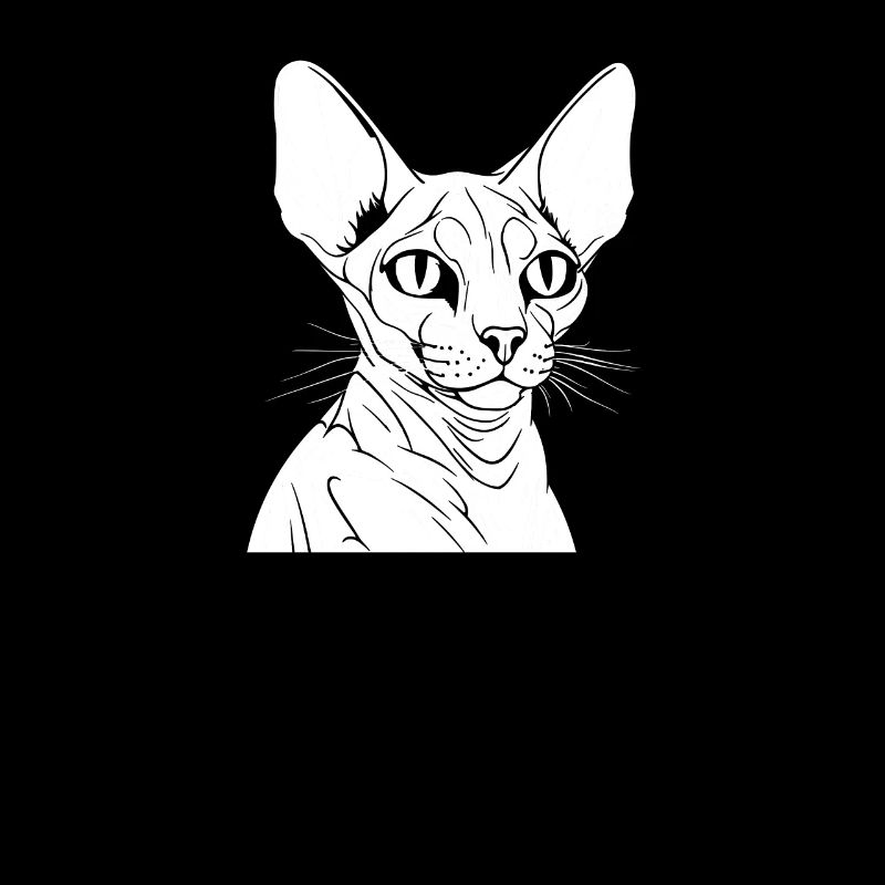 Chat Sphynx