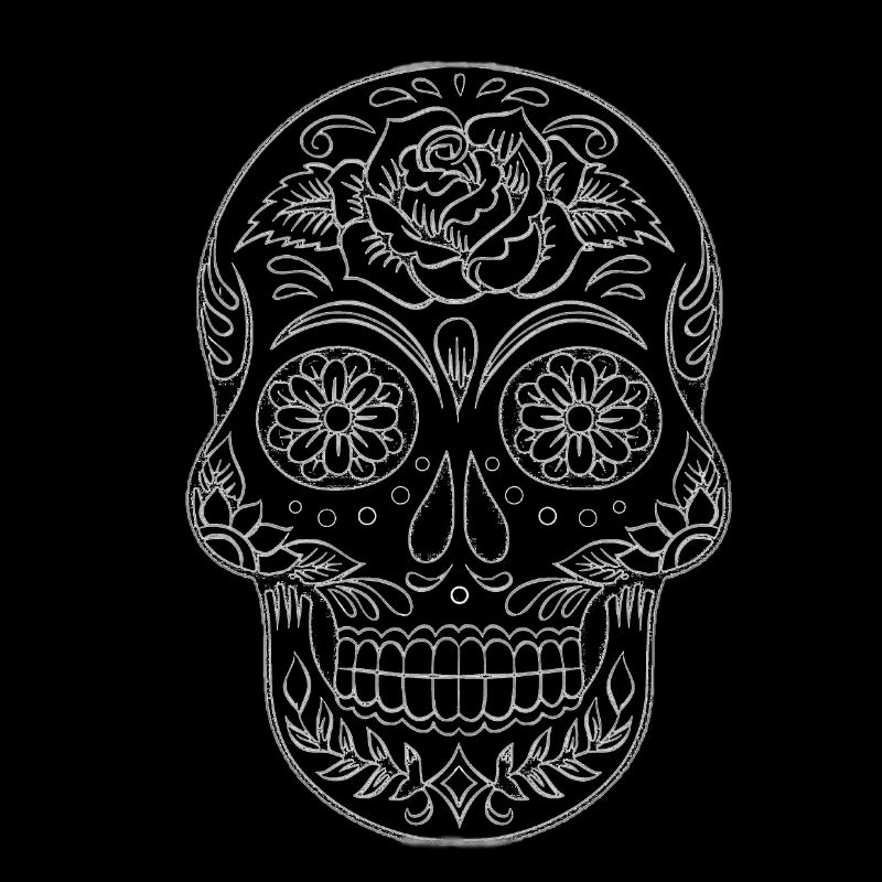 Zeichnung oder Bleistift blühende Crane