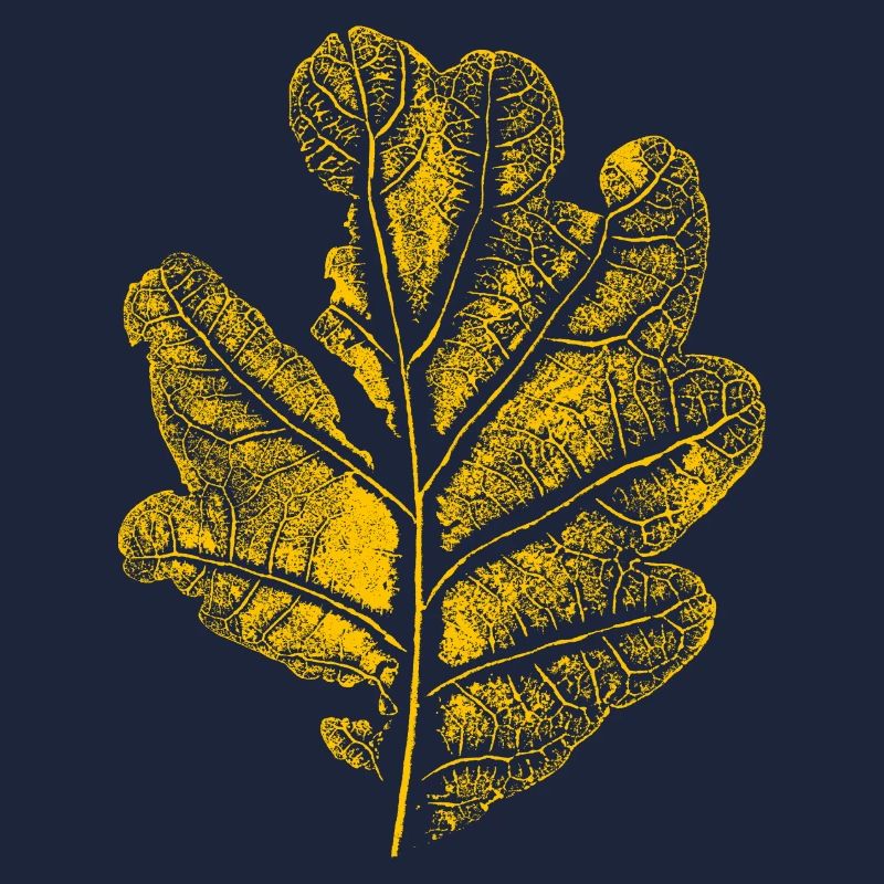 Blatt Eiche/ Eichenblatt