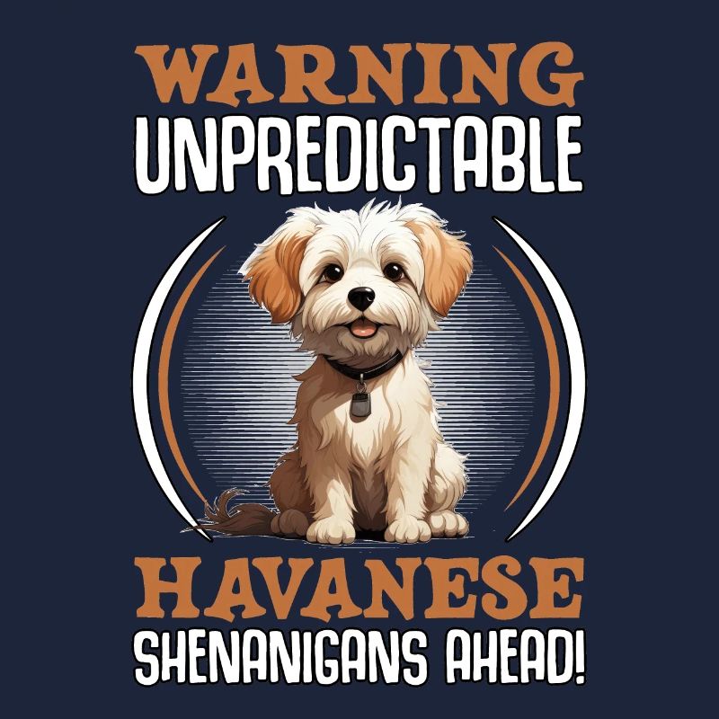 Warning unpredictable Havanese Shenanigans ahead