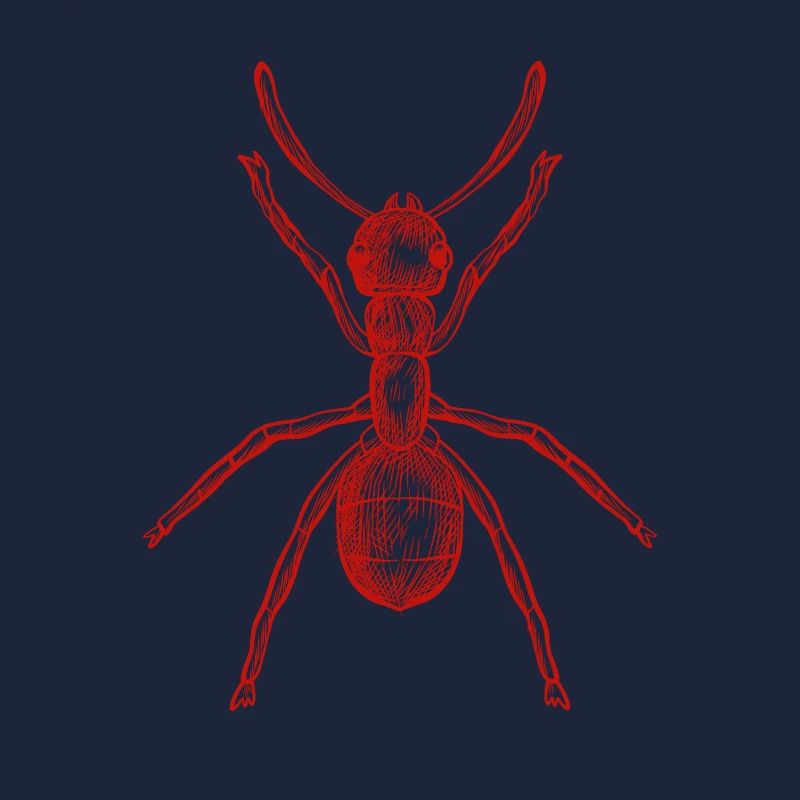 ant