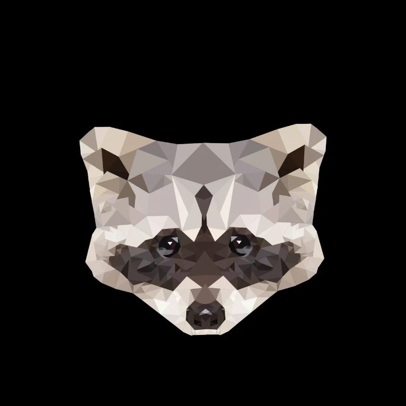 Waschbär Polygon