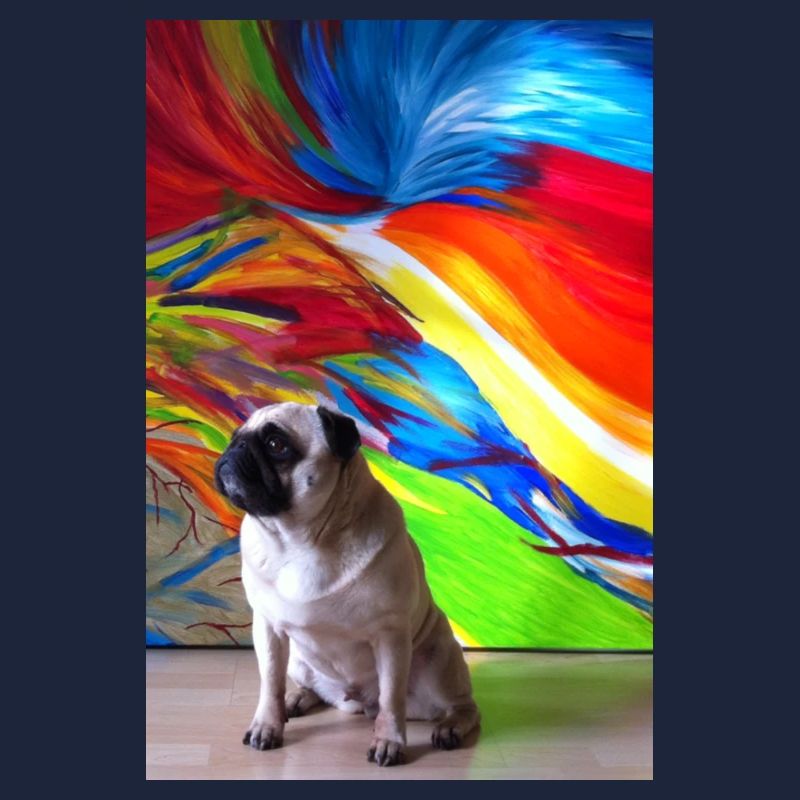 Mops Pug