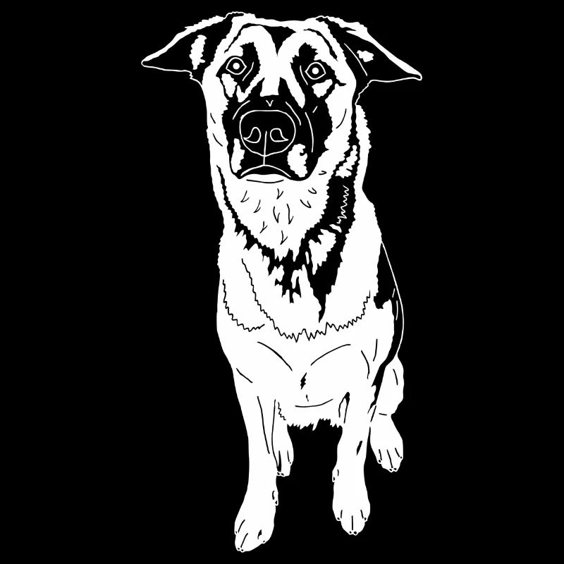 Malinois