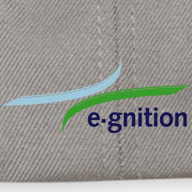 logo_egnition_freigestell