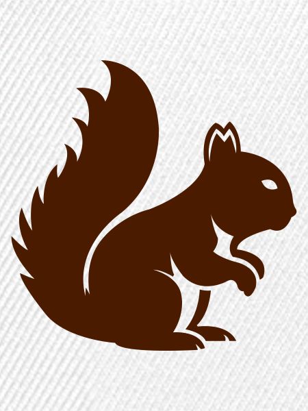 Eichhörnchen Tier
