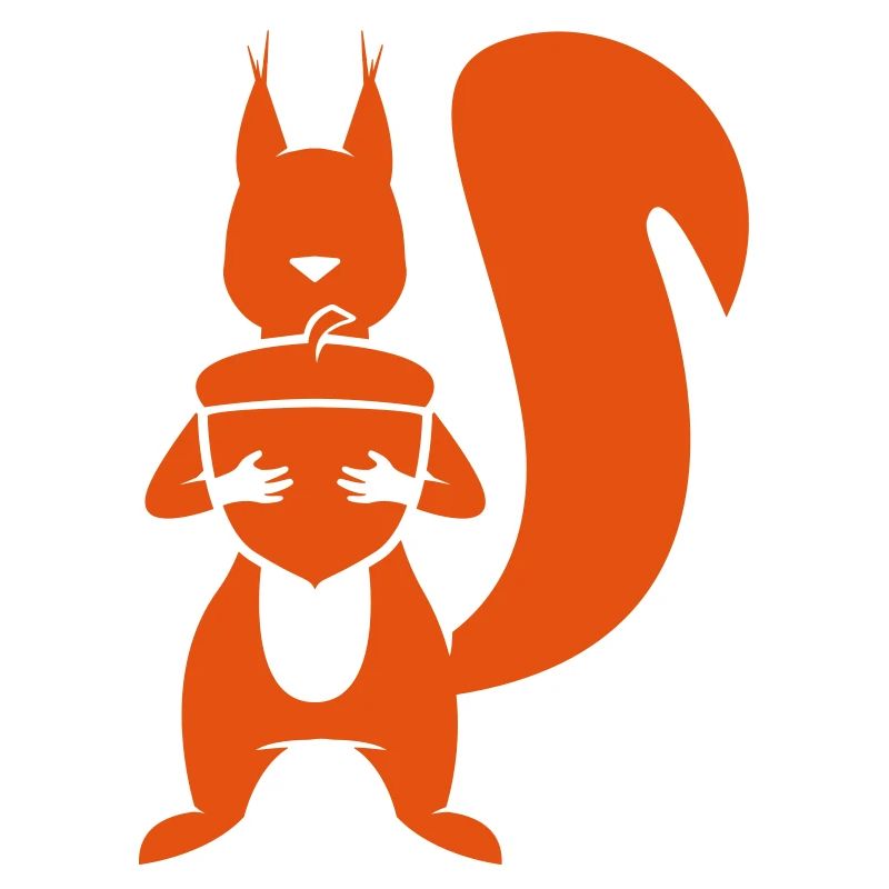 Eichhörnchen / Squirrel