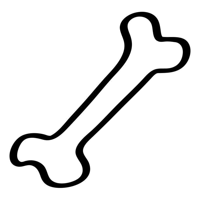 Knochen - Bone 2