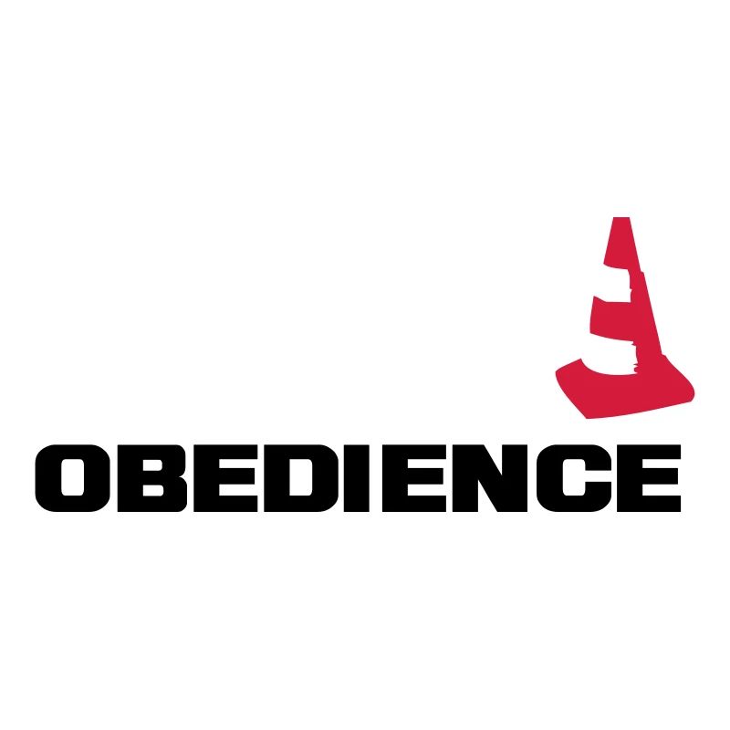 Obedience mit Pylone