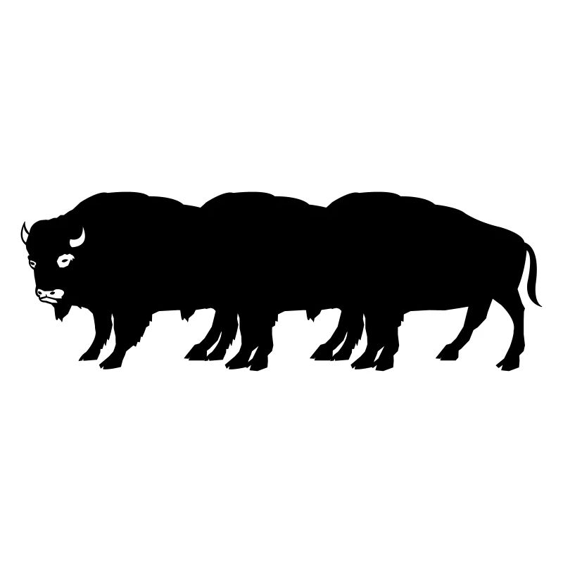 bisons