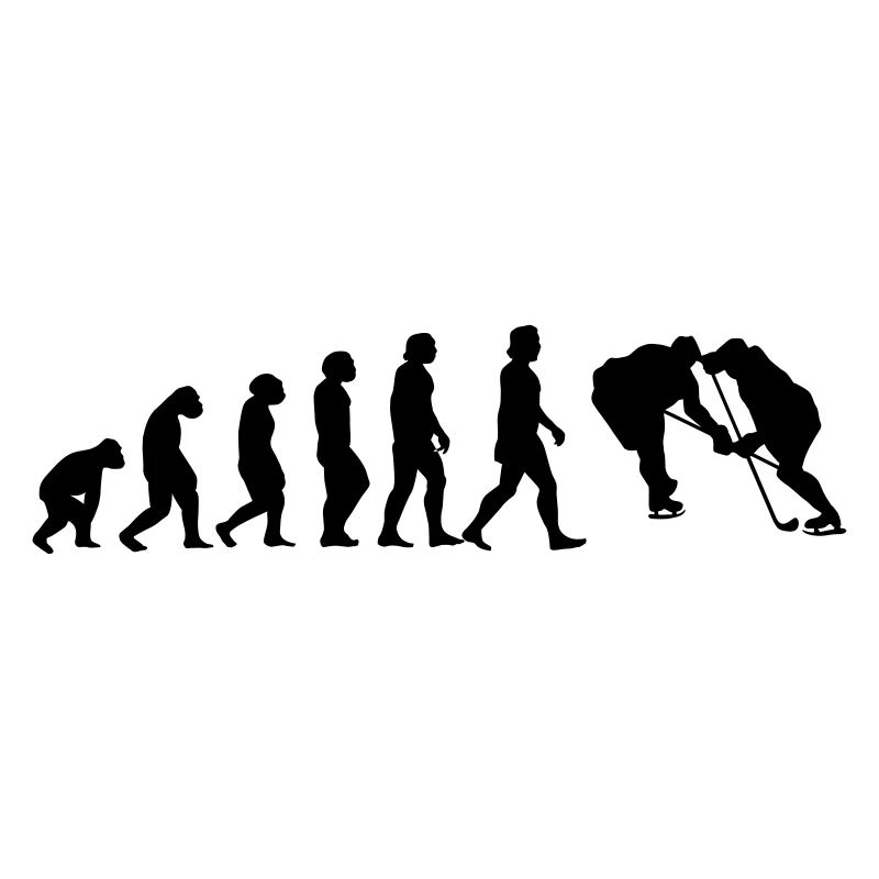 l'évolution du hockey