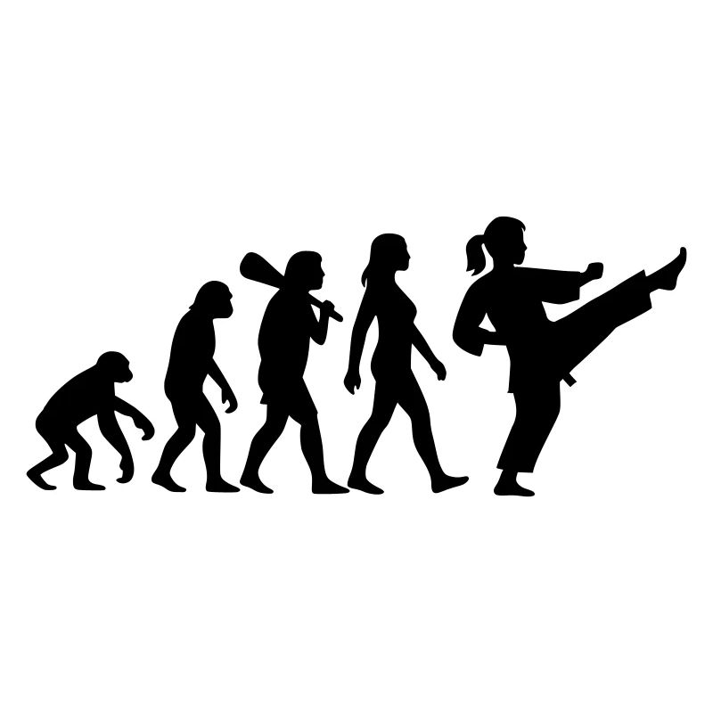 Karaté Évolution