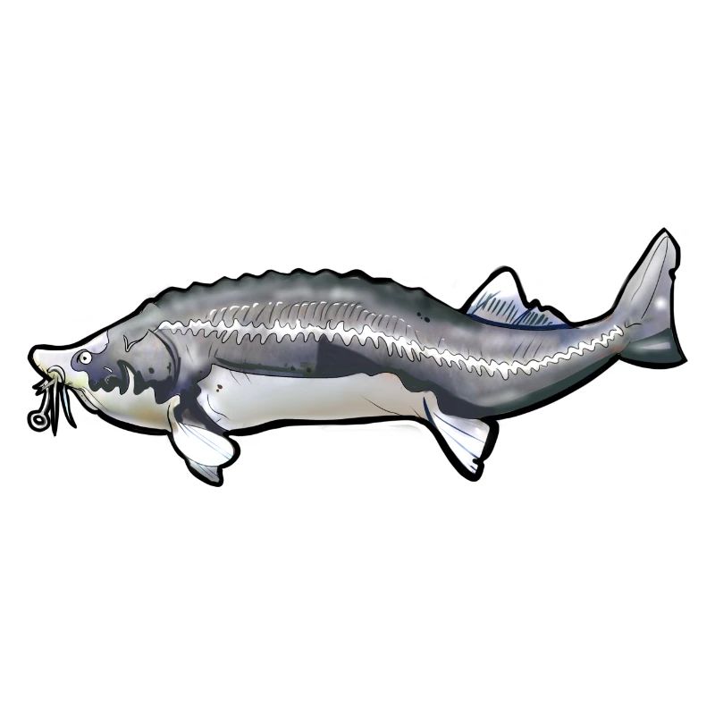 Grubbed Kelfish Tail Pattern