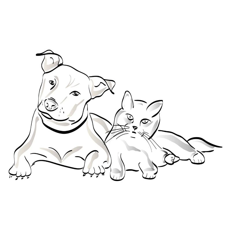 Katze Hund