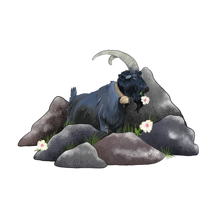 Steinbock