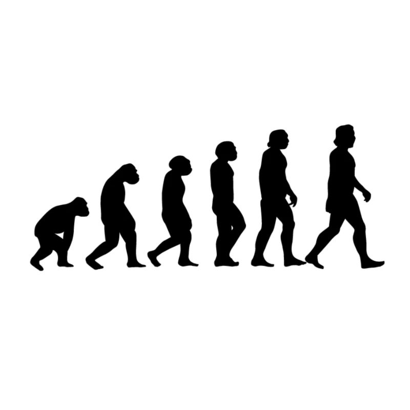 Evolution monkey to man