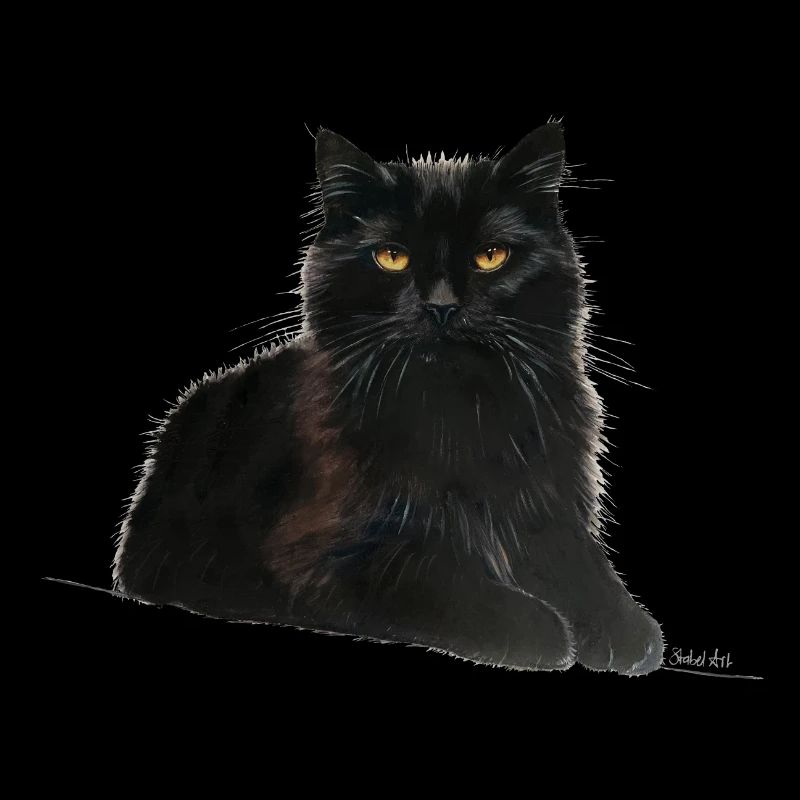 Katze
