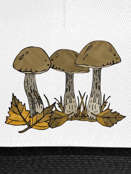 Pilze