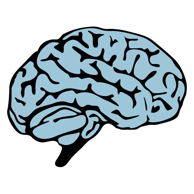 brain design