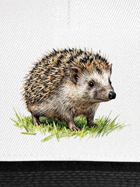 Aquarell Igel im Gras