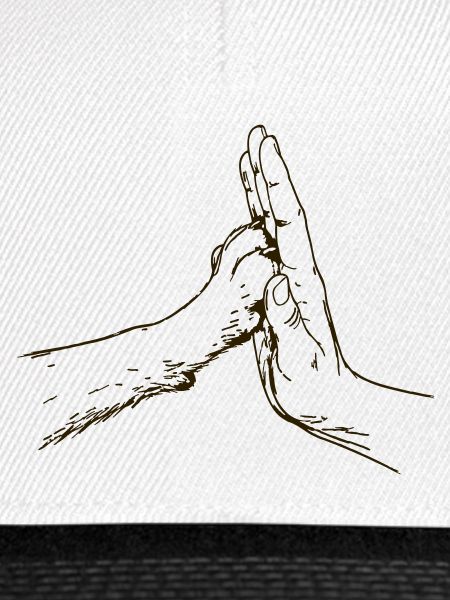 hand-pfote