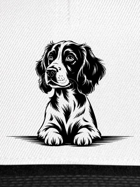 Cocker Spaniel