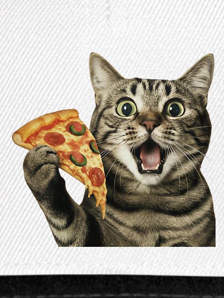 Pizza-Katze