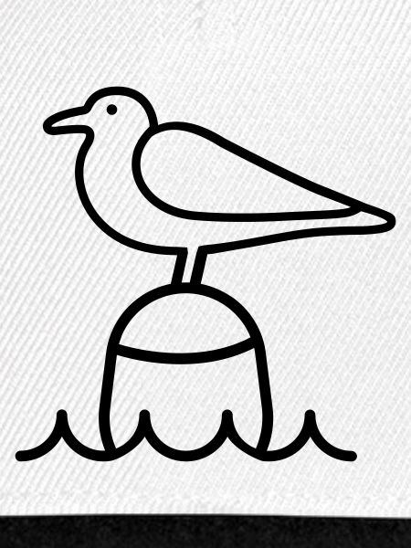 Möwe Moin