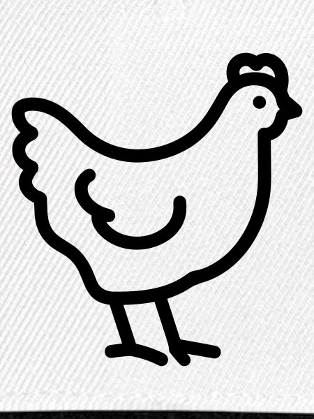 Huhn
