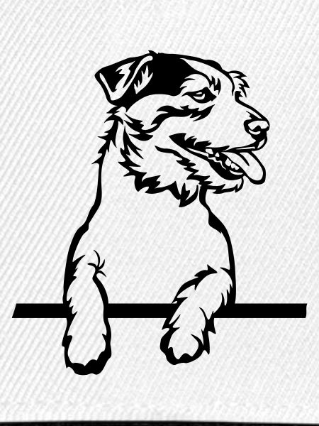 Jack Russell Terrier