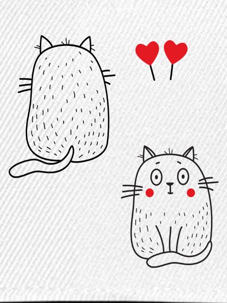 coole Katzen