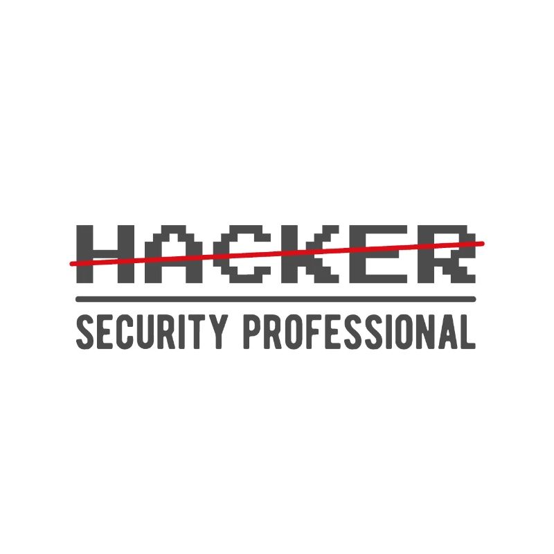 Hacker Security Professional Spruch Informatiker
