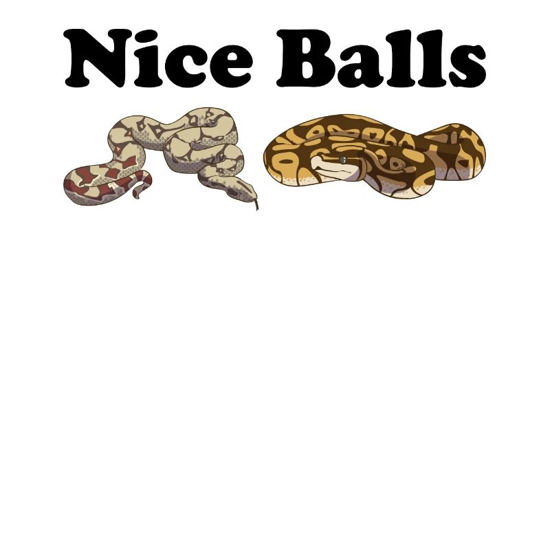 Funny Ball Python Snake