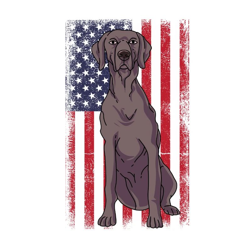 Weimaraner