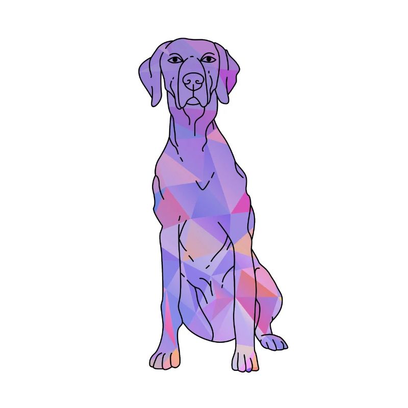 Weimaraner