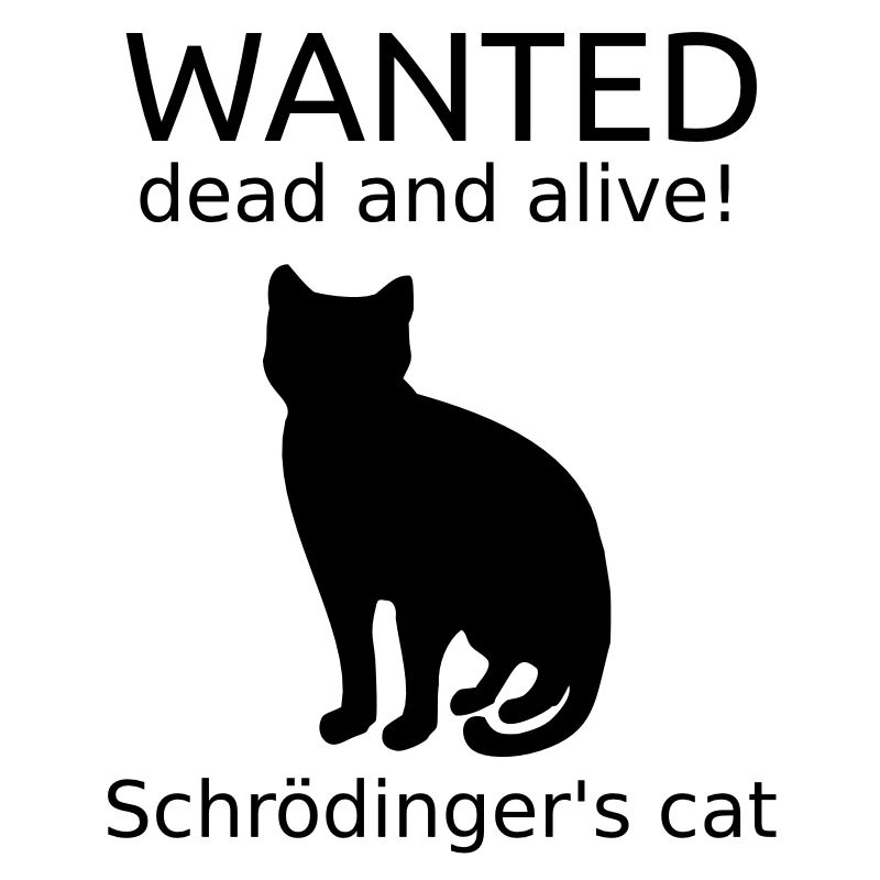 Schrodinger's Cat