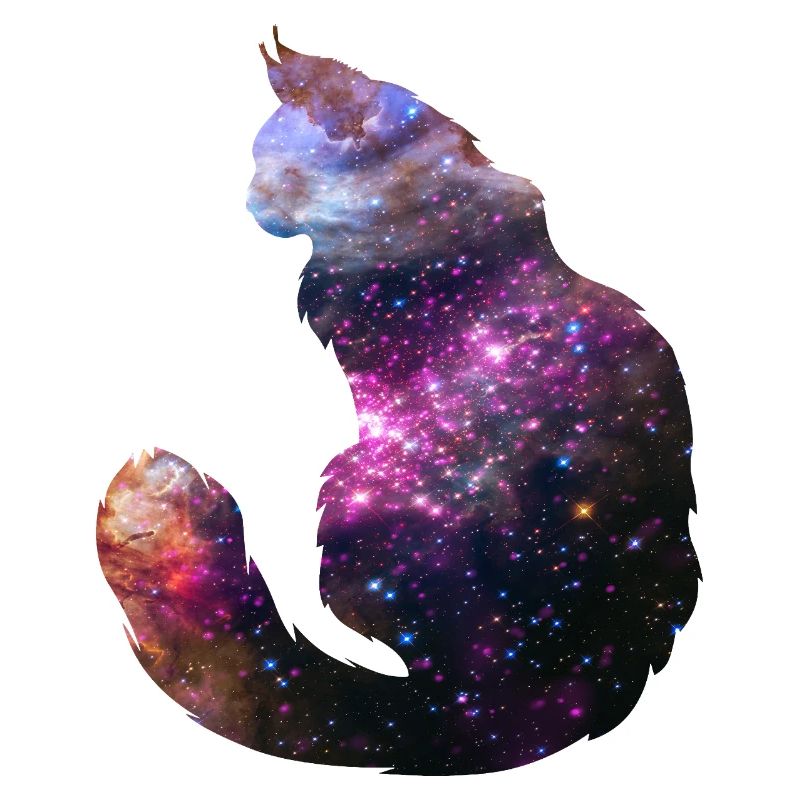 Chat de l’espace