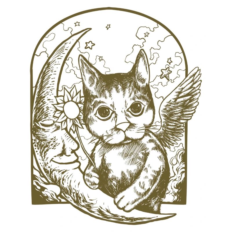 Chat céleste et lune ailée