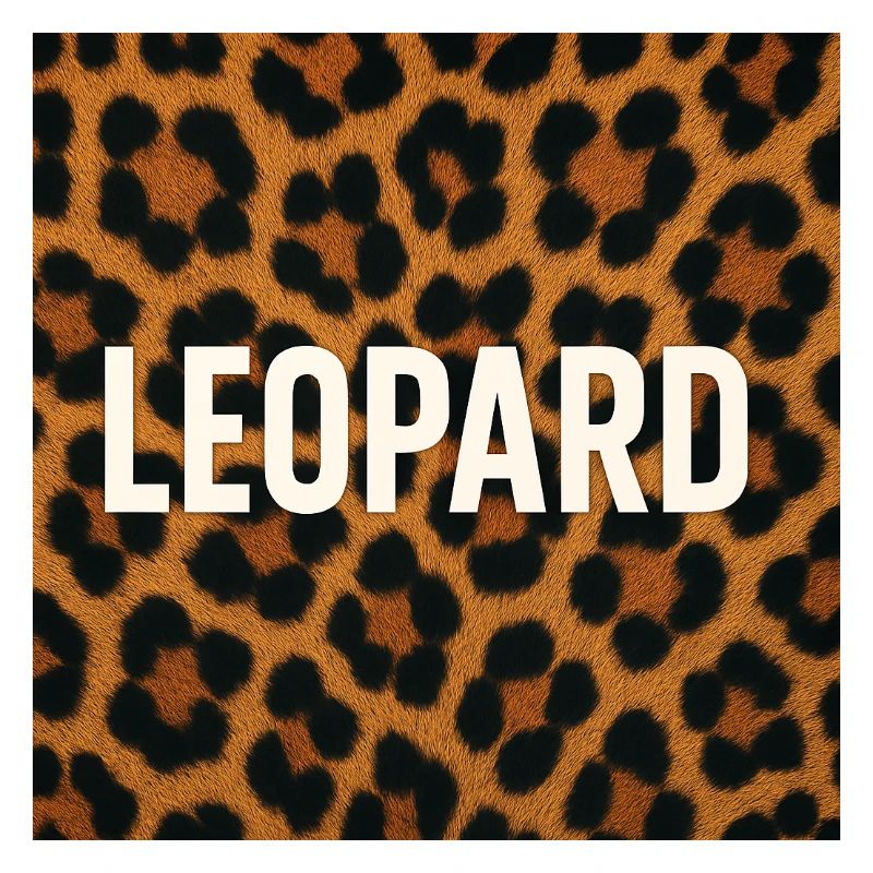 Déclaration moderne du léopard