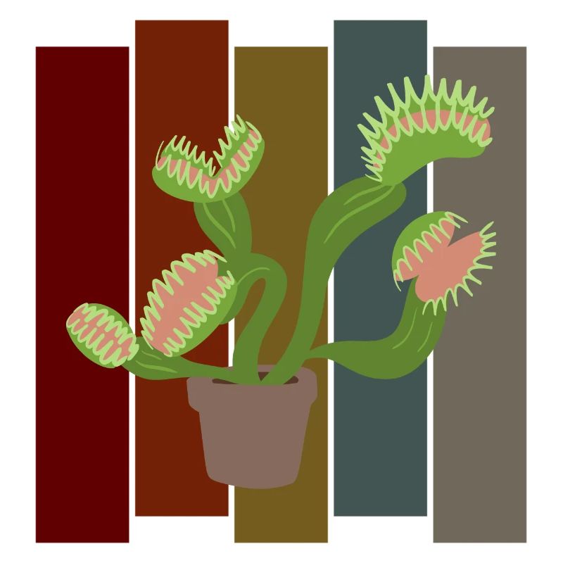 Venus flytrap retro