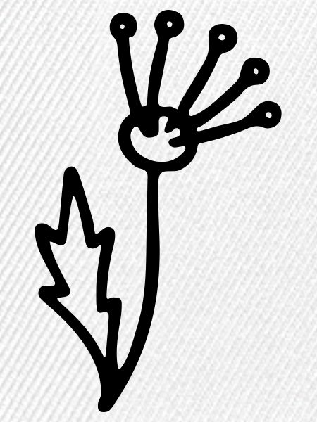 Blume 2
