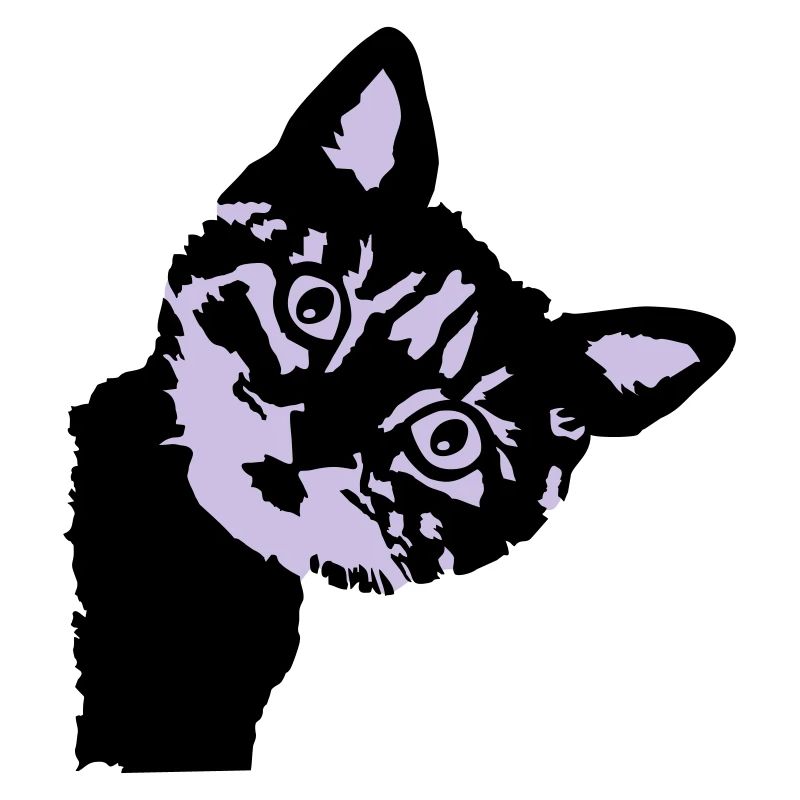 Cat, cute kitten - 2 colors