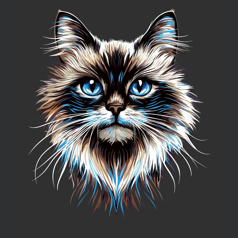 Chat Ragdoll Chat Ragdoll Chat Mignon Chats Ragdoll