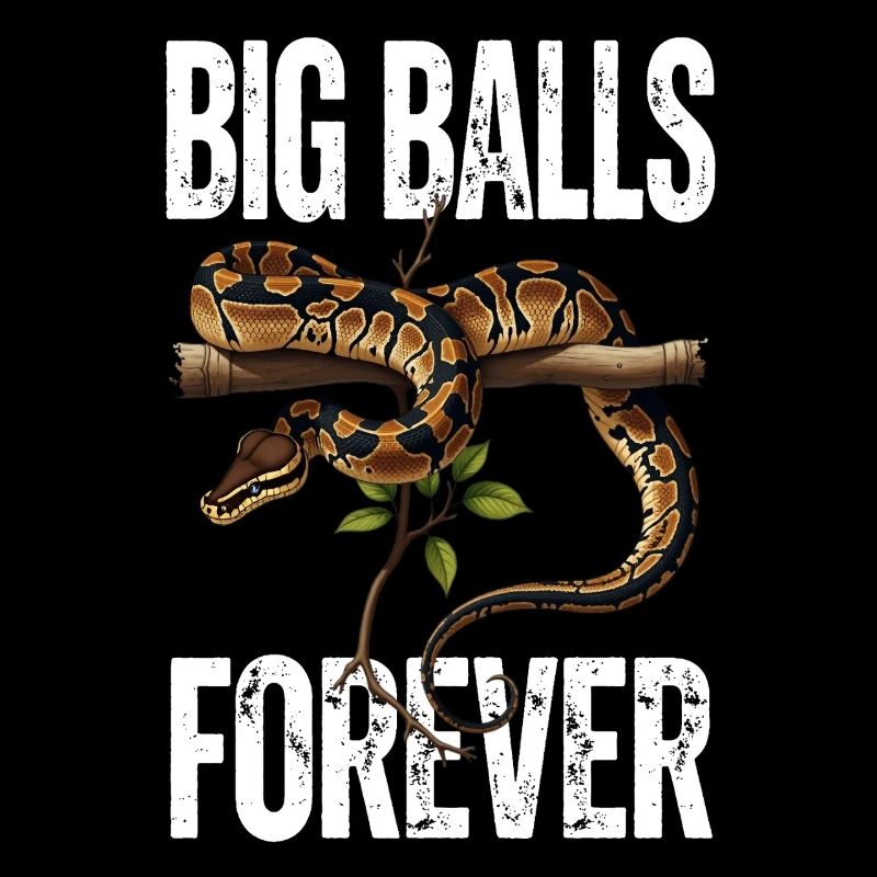 Kongepython Slanger Elsker Terrarium Python